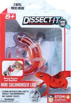 Sensory Compounds - Salamander In Giftbox (12-38085)