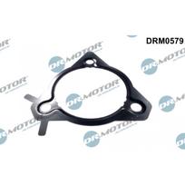 Aukšto kuro slėgio siurblio tarpiklis Dr.Motor Automotive DRM0579