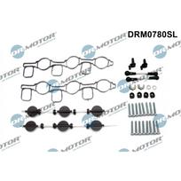 Įsiurbimo kolektoriaus modulio rem. kompl. Dr.Motor Automotive DRM0780SL