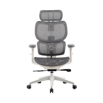 Onex Gaming Office Chair | Ventra Premium Mesh | White