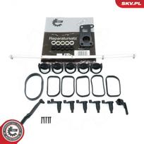 Įsiurbimo kolektoriaus modulio rem. kompl. ESEN SKV 49SKV506