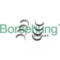 Švaistiklio didysis guolis (indėklas) Borsehung B11331