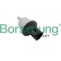 Aktyvios anglies filtro vožtuvas Borsehung B12188