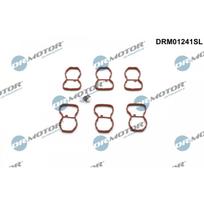 Įsiurbimo kolektoriaus modulio rem. kompl. Dr.Motor Automotive DRM01241SL