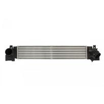 Tarpinis suslėgto oro aušintuvas, kompresorius THERMOTEC DAB024TT