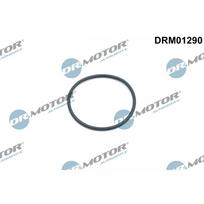 Grandinės pavaros įtempėjo sandarinimo žiedas Dr.Motor Automotive DRM01290