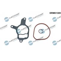Vakuuminio siurblio tarpikių rinkinys Dr.Motor Automotive DRM01309