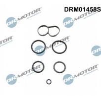 Alyvos radiatoriaus tarpiklių rinkinys Dr.Motor Automotive DRM01458S