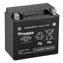 Akumuliatorius YUASA YTX14L-BS