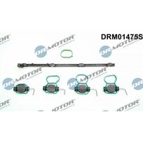 Įsiurbimo kolektoriaus modulio rem. kompl. Dr.Motor Automotive DRM01475S