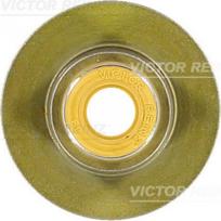 Vožtuvo riebokšlis REINZ 70-40336-00