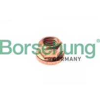 Išmetimo kolektoriaus veržlė Borsehung B10639