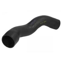 Kompresoriaus padavimo žarna THERMOTEC DCV071TT