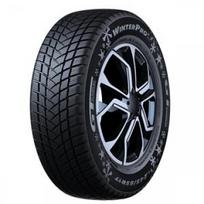 GT Radial WINTERPRO 2 205/55 R16 91 H