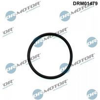 Aukšto kuro slėgio siurblio tarpiklis Dr.Motor Automotive DRM01479