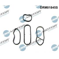 Alyvos radiatoriaus tarpiklių rinkinys Dr.Motor Automotive DRM01845S