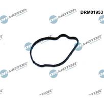 Aukšto kuro slėgio siurblio tarpiklis Dr.Motor Automotive DRM01953