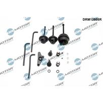 Įsiurbimo kolektoriaus modulio rem. kompl. Dr.Motor Automotive DRM12808R
