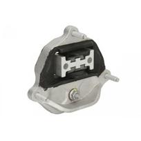Automatinės pavarų dėžės tvirtinimas REINHOCH RH12-0041