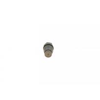 Common rail sistemos slėgio ribojimo vožtuvas BOSCH 1 110 010 023