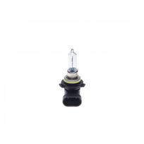 Tolimųjų šviesų žibinto lemputė BOSCH 1 987 302 027