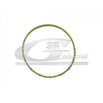 Vakuuminio siurblio tarpinė 3RG 74101