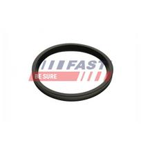 Tarpiklis, turbinos oro žarna FAST FT48947
