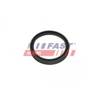 Tarpiklis, turbinos oro žarna FAST FT48956
