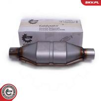 Universalus katalizatorius ESEN SKV 62SKV111