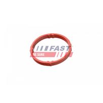 Žarna, vožtuvo dangtelio alsuoklis FAST FT48958