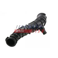 Įsiurbimo kolektoriaus oro tiekimas FAST FT65715