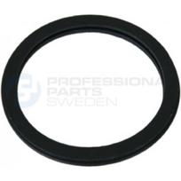 Tarpiklis, termostatas Professional Parts 21343058
