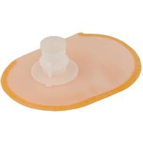 Filtras, degalų siurblys Professional Parts 23991201