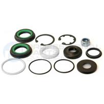 Vairo pavaros rem. komplektas Professional Parts 61431600