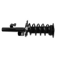 Pakabos komplektas, spyruoklės / amortizatoriai Professional Parts 72432218C