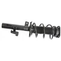 Pakabos komplektas, spyruoklės / amortizatoriai Professional Parts 72433608C