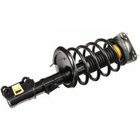 Pakabos komplektas, spyruoklės / amortizatoriai Professional Parts 72435828C