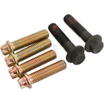 Rato stebulės rem. komplektas Professional Parts 77431786BK
