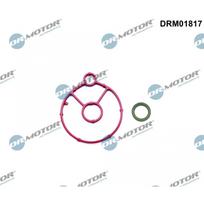 Alyvos radiatoriaus tarpiklių rinkinys Dr.Motor Automotive DRM01817