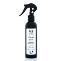 Oro gaiviklis AIR SPICE SILVER CLUB SPRAY ASL23