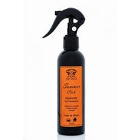 Oro gaiviklis AIR SPICE SUMMER CLUB SPRAY ASL41