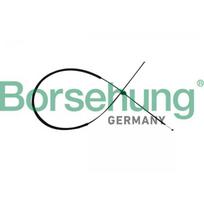 Gaubto trosas Borsehung B10782