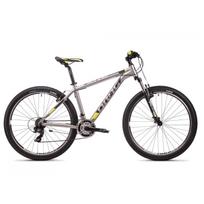 MTB dviratis DRAG ZX2 29 L GREY