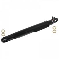 Vairuotojo kabinos posvyrio cilindras FEBI BILSTEIN 48714