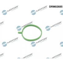 Įsiurbimo žarnos oro filtro korpuso tarpiklis Dr.Motor Automotive DRM02685