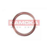 Stabdžių vamzdelis KAMOKA 1173006