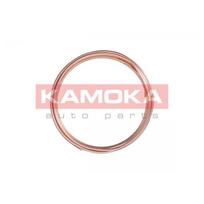 Stabdžių vamzdelis KAMOKA 1173011