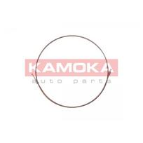 Stabdžių vamzdelis KAMOKA 1173147