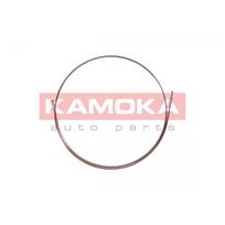 Stabdžių vamzdelis KAMOKA 1173149