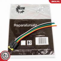 EGR vožtuvo laidų rem. komplektas ESEN SKV 53SKV179